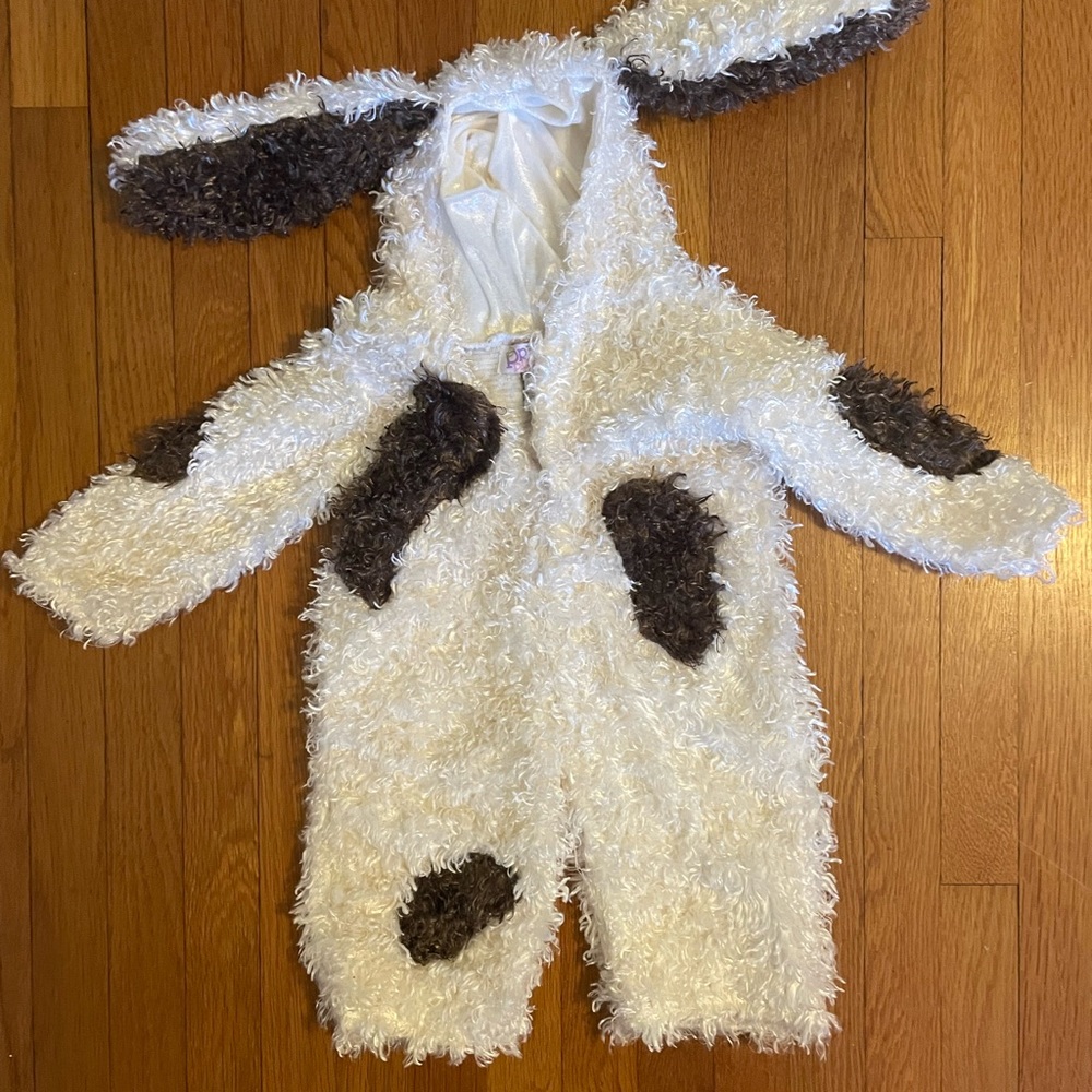 Puppy Halloween costume, 6-12 months, worn once